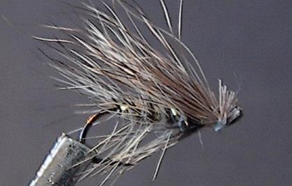 Elk Hair Caddis.jpg