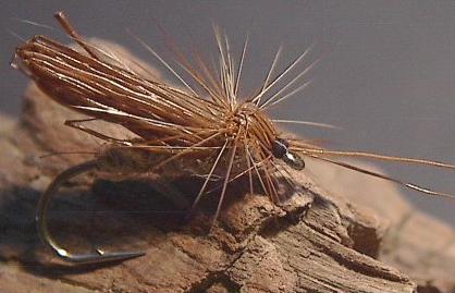 Dave Wotton Caddis.jpg