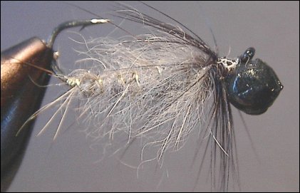 Peeping caddis variation.jpg