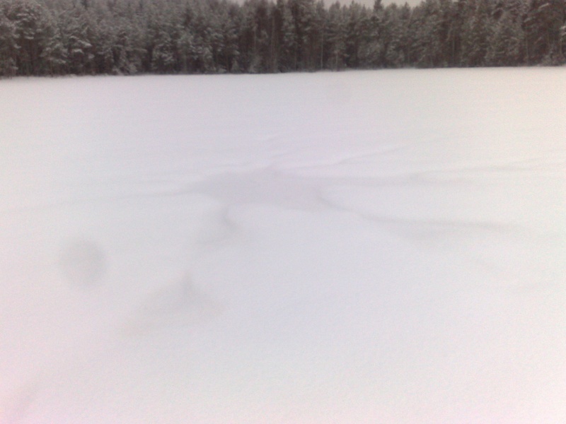 Tiedosto:Umpeenjäätynyt uveavanto.jpg