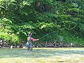 300px-Flyfishing.jpg