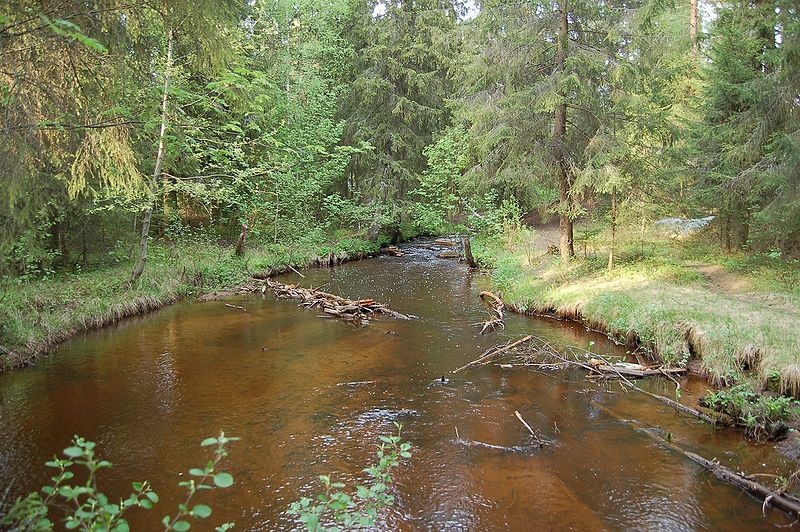 Tiedosto:Kuivasoja 2007 06 03.jpg