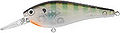 Daiwa dcshad bluegill.jpg