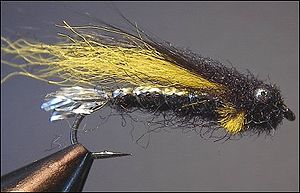 Nakke nakuuttaja.jpg